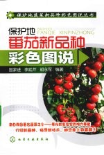 保护地番茄新品种彩色图说