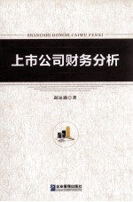 上市公司财务分析