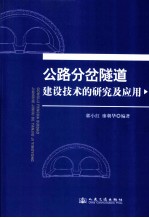 公路分岔隧道建设技术的研究及应用