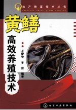 黄鳝高效养殖技术