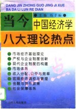 当今中国经济学八大理论热点 全国高校社会主义经济理论与实践研讨会第八次会议论文集