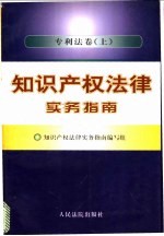 知识产权法律实务指南 专利法卷 上