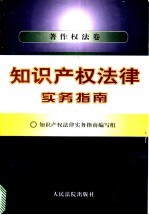 知识产权法律实务指南 著作权法卷