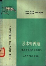 淡水虾养殖  青虾、罗氏沼虾、海南沼虾