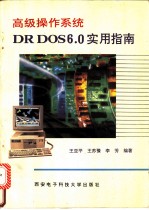 高级操作系统DR DOS 6.0实用指南