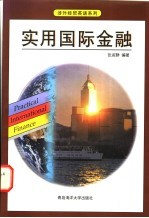 实用国际金融