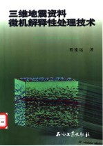 三维地震资料微机解释性处理技术