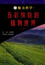 魅力科学 五彩缤纷的植物世界 下