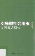 引导型社会组织发展模式研究