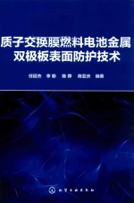 质子交换膜燃料电池金属双极板表面防护技术