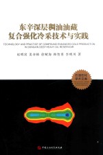 东辛深层稠油油藏复合强化冷采技术与实践