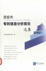 西安市专利信息分析报告选集