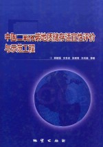 中国二氧化碳地质储存适宜性评价与示范工程