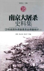 南京大屠杀史料集 18 抗战损失调查委员会调查统计 下