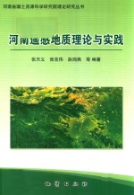 河南省国土资源科学研究院理论研究丛书 河南遥感地质理论与实践