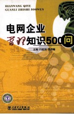 电网企业管理知识500问