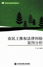 农民工维权法律纠纷案例分析