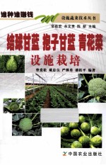 结球甘蓝 抱子甘蓝 青花菜设施栽培