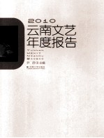 2010云南文艺年度报告