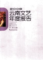 2008云南文艺年度报告