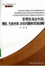 管理咨询在中国 现状、专业水准、存在问题和发展战略