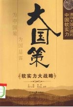 大国策  通向大国之路的中国软实力  软实力大战略