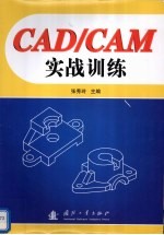 CAD/CAM实战训练