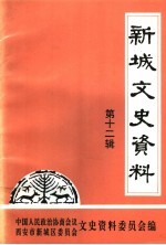 新城文史资料 第12辑