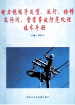 电力绝缘子选型、运行、检修及污闪、雷害事故防范处理技术手册 第2卷