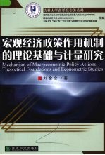 宏观经济政策作用机制的理论基础与计量研究