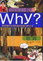 WHY? 新时期少年科普知识动漫百科全书 岩洞