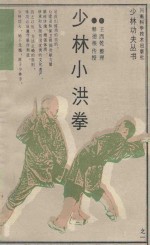 少林小洪拳