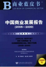 中国商业发展报告 2008-2009