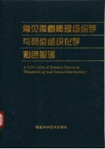 常见肿瘤病理组织学与免疫组织化学彩色图谱