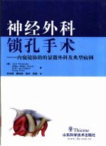 神经外科锁孔手术  内窥镜协助的显微外科及典型病例