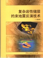 复杂岩性储层约束地震反演技术