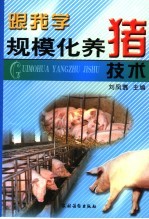 跟我学规模化养猪技术