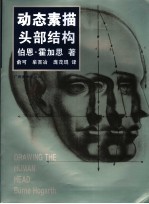 动态素描 头部结构 中文简体字版