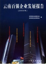 云南百强企业发展报告 2005年