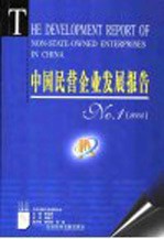 中国民营企业发展报告 No.1 2004