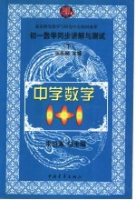 中学数学1+1 初一数学同步讲解与测试 下