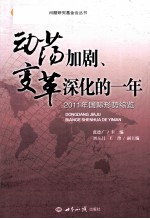 动荡加剧、变革深化的一年 2011年国际形势综览