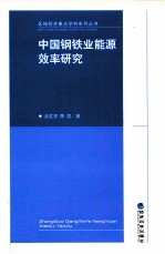 中国钢铁业能源效率研究