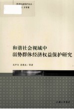 弱者权益保护论丛 和谐社会视域中弱势群体经济权益保护研究