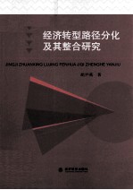 经济转型路径分化及其整合研究