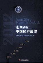 走向2012 中国经济展望