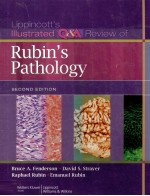 LIPPINCOTT'S ILLUSTRATED Q&A REVIEW OF RUBIN'S PATHOLOGY SECOND EDITION