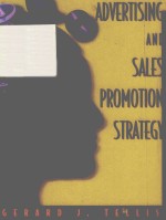 ADVERTISING AND SALES PROMOTION STRATEGY