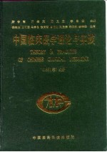 中国临床医学理论与实践 1991卷