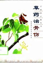 草药治骨伤